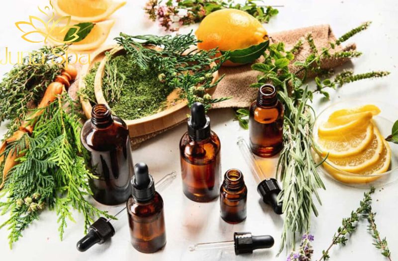 Mỹ phẩm thuần chay - Xu hướng làm đẹp xanh bạn đã thử chưa?