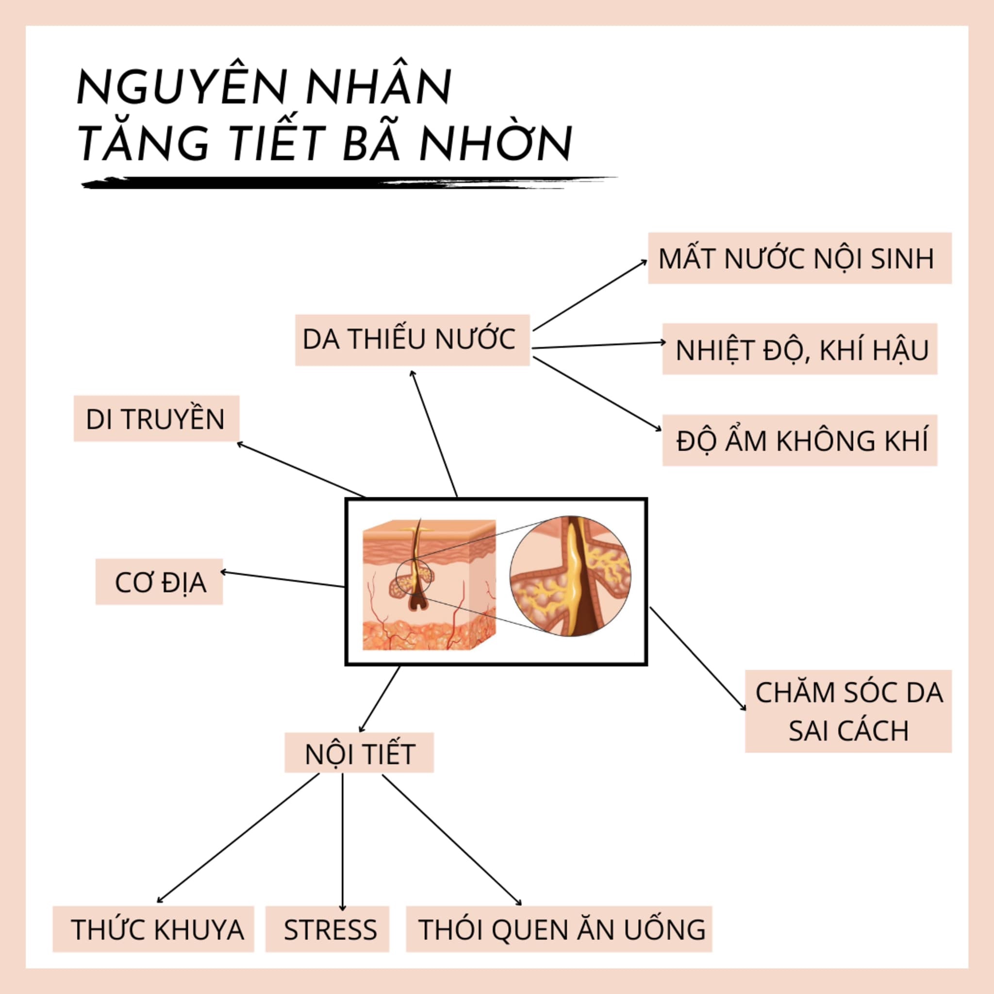 2. Nguyên Nhân Tăng Tiết Bã Nhờn 